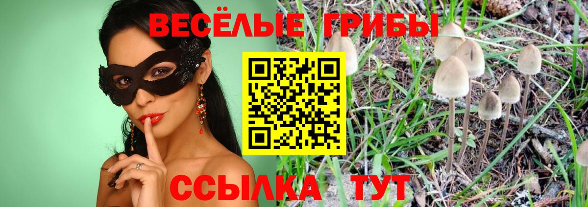 Меф мяу мяу Мыски